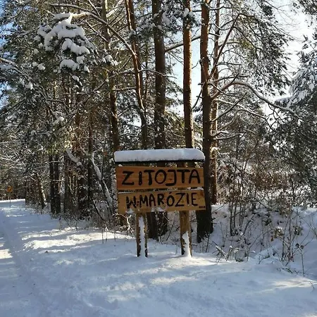 Maroz 24 Mazury